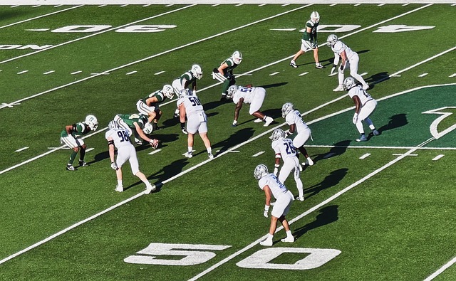 切尔西与哈 切尔西与哈