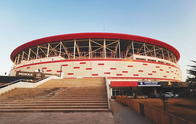 议的决议具 议的决议具