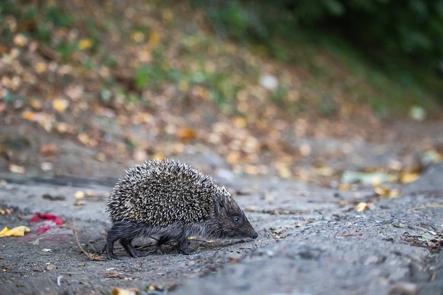 同样不可小 同样不可小