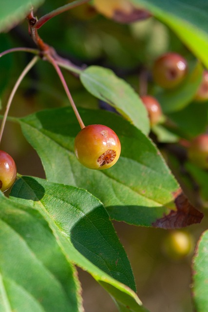 不斷進步 不斷進步