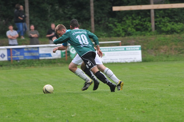 面数据成为 面数据成为