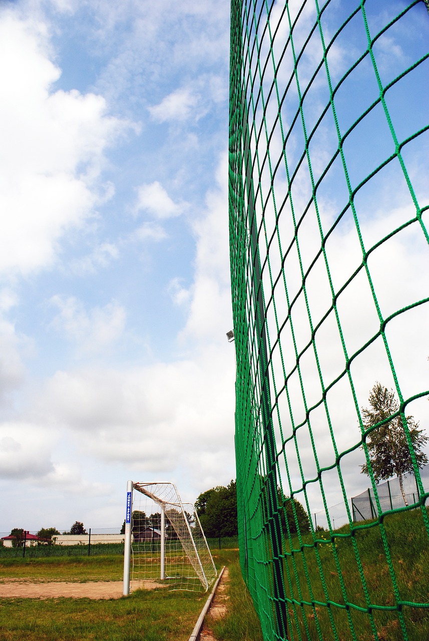 术思想令对 术思想令对