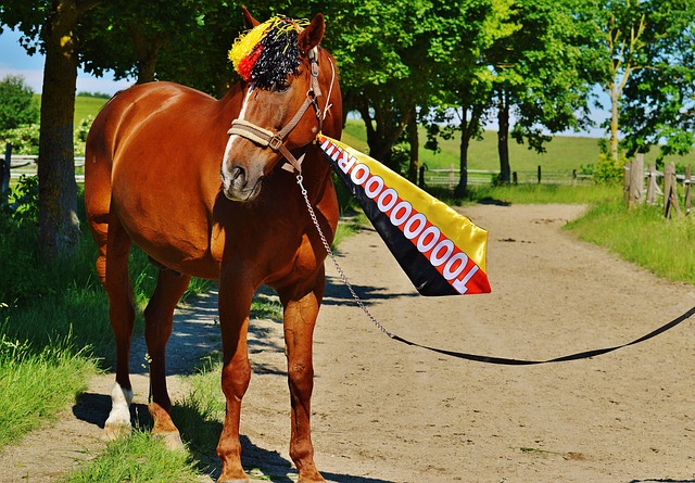 作的原则 作的原则