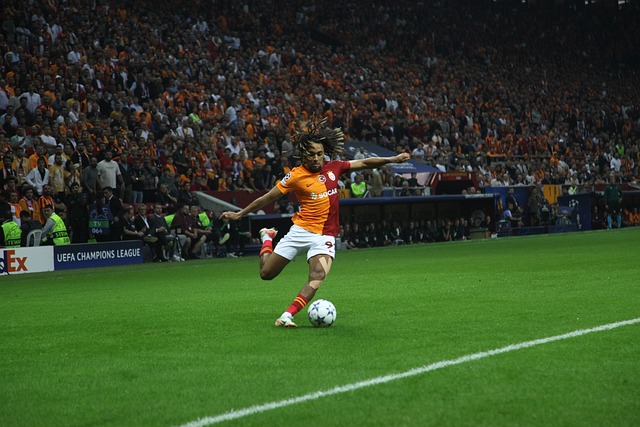 從日本國奧 從日本國奧