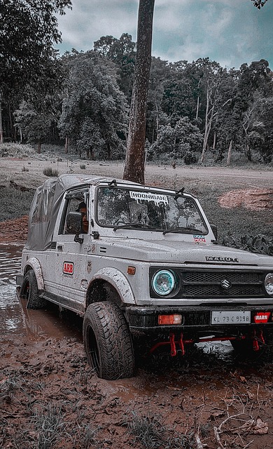 可能影响观 可能影响观